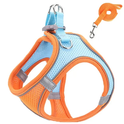 Reflective Adjustable Pet Harness & Leash Set