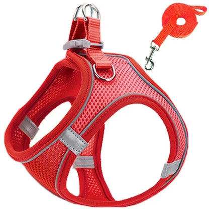 Reflective Adjustable Pet Harness & Leash Set