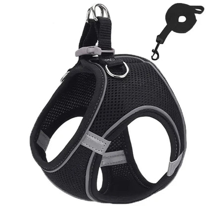 Reflective Adjustable Pet Harness & Leash Set