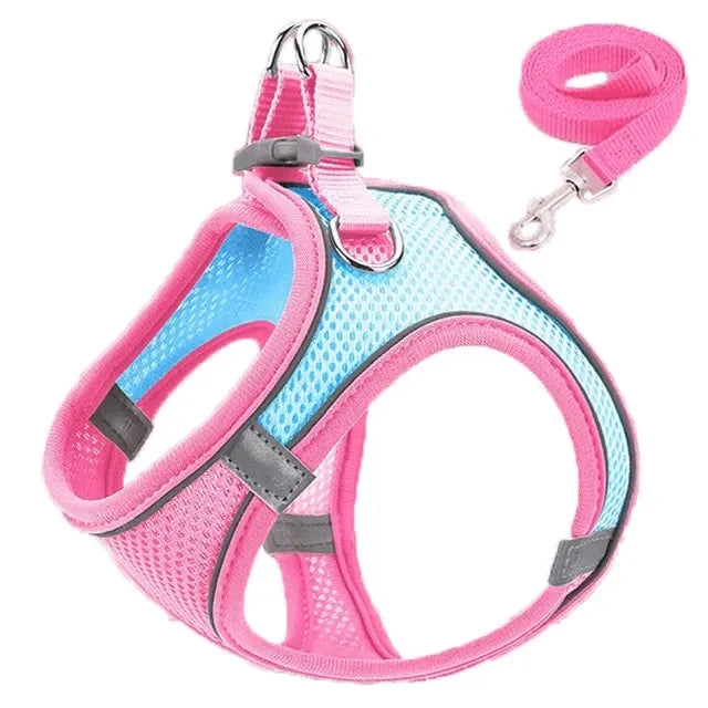 Reflective Adjustable Pet Harness & Leash Set