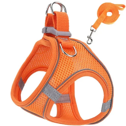 Reflective Adjustable Pet Harness & Leash Set