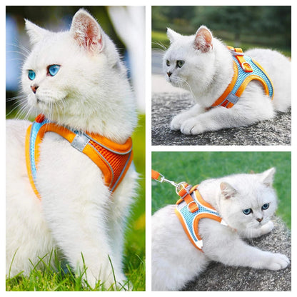 Reflective Adjustable Pet Harness & Leash Set