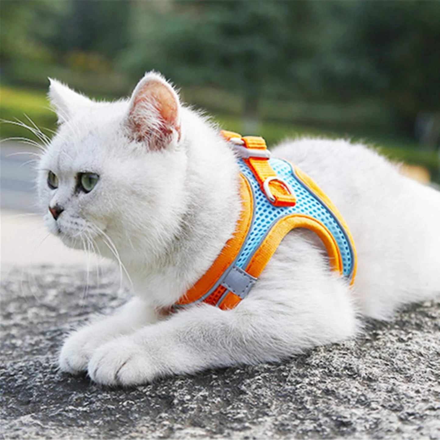 Reflective Adjustable Pet Harness & Leash Set